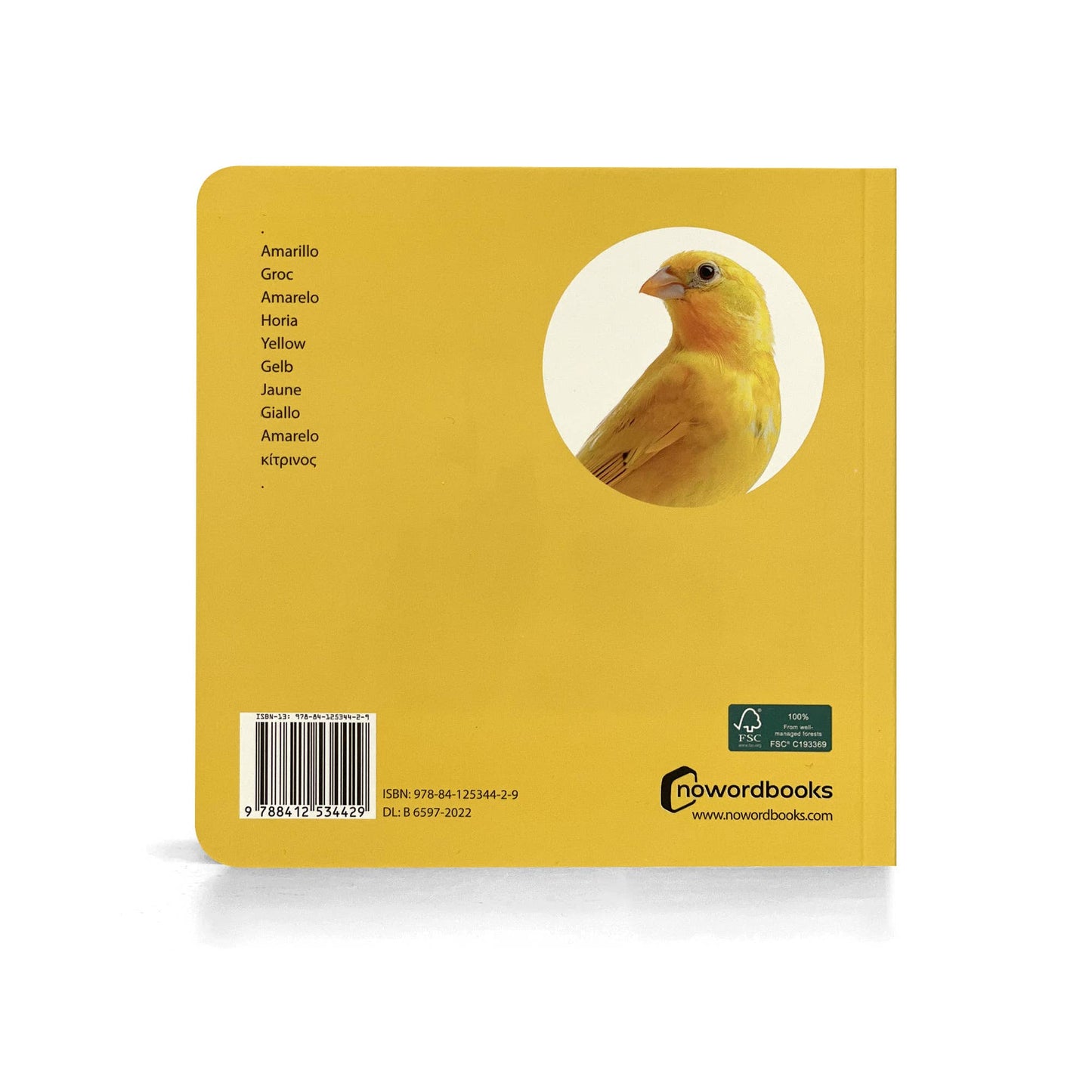 Yellow - Wordless Photo Book NWB041