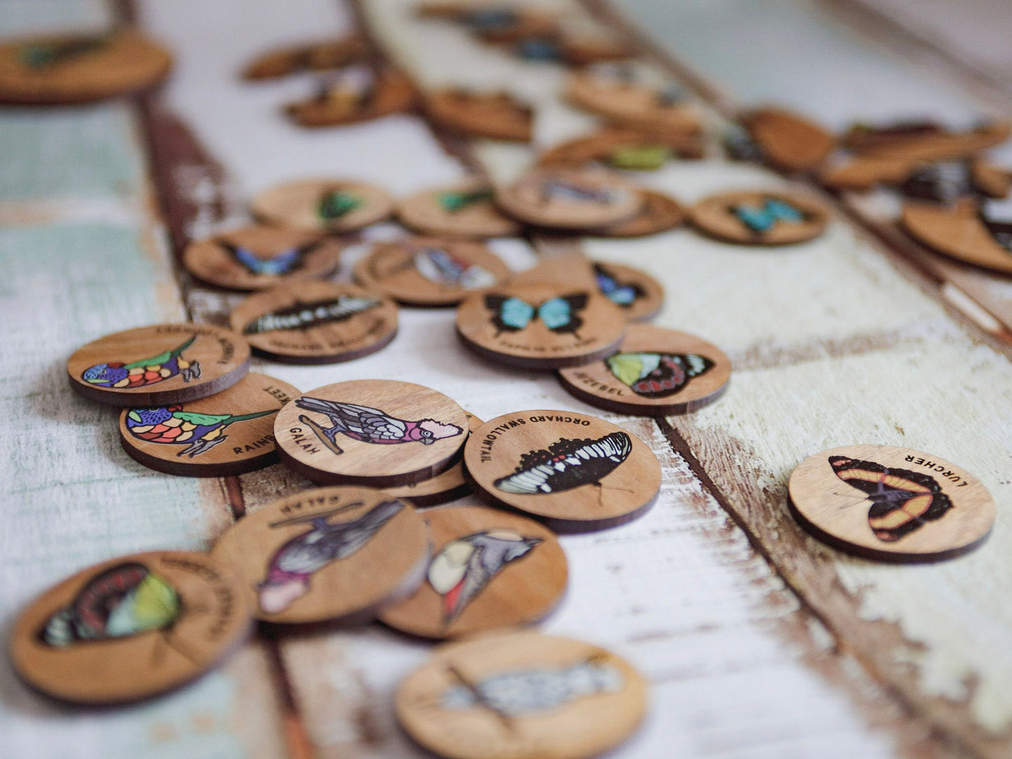 Birds & Butterflies Memory Game