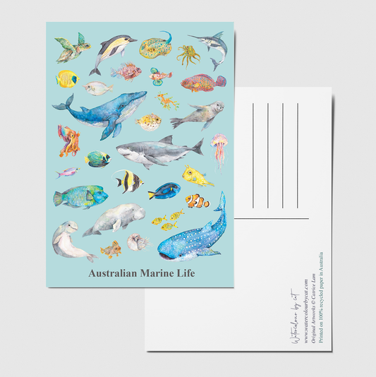 Australian Ocean Animals Collection Recycled Postcard