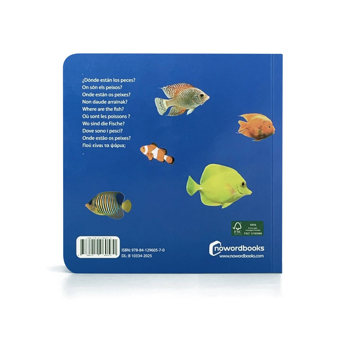 Where Are the Fish? - Wordless Photo Book NWB057