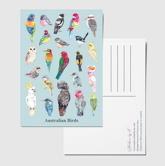 Australian Birds Collection Recycled Postcard