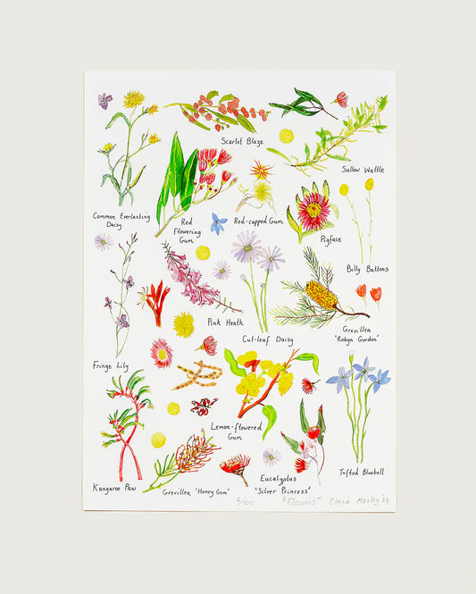 A3 Art Prints by Claire Mosley