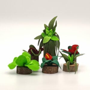 Green Feelings: 6 Plants