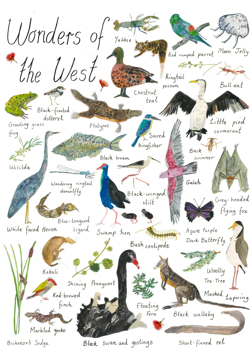 Art Prints by Claire Mosley