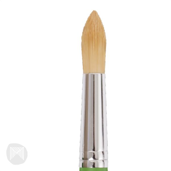 Future Brush FSC 100% class set - vegan