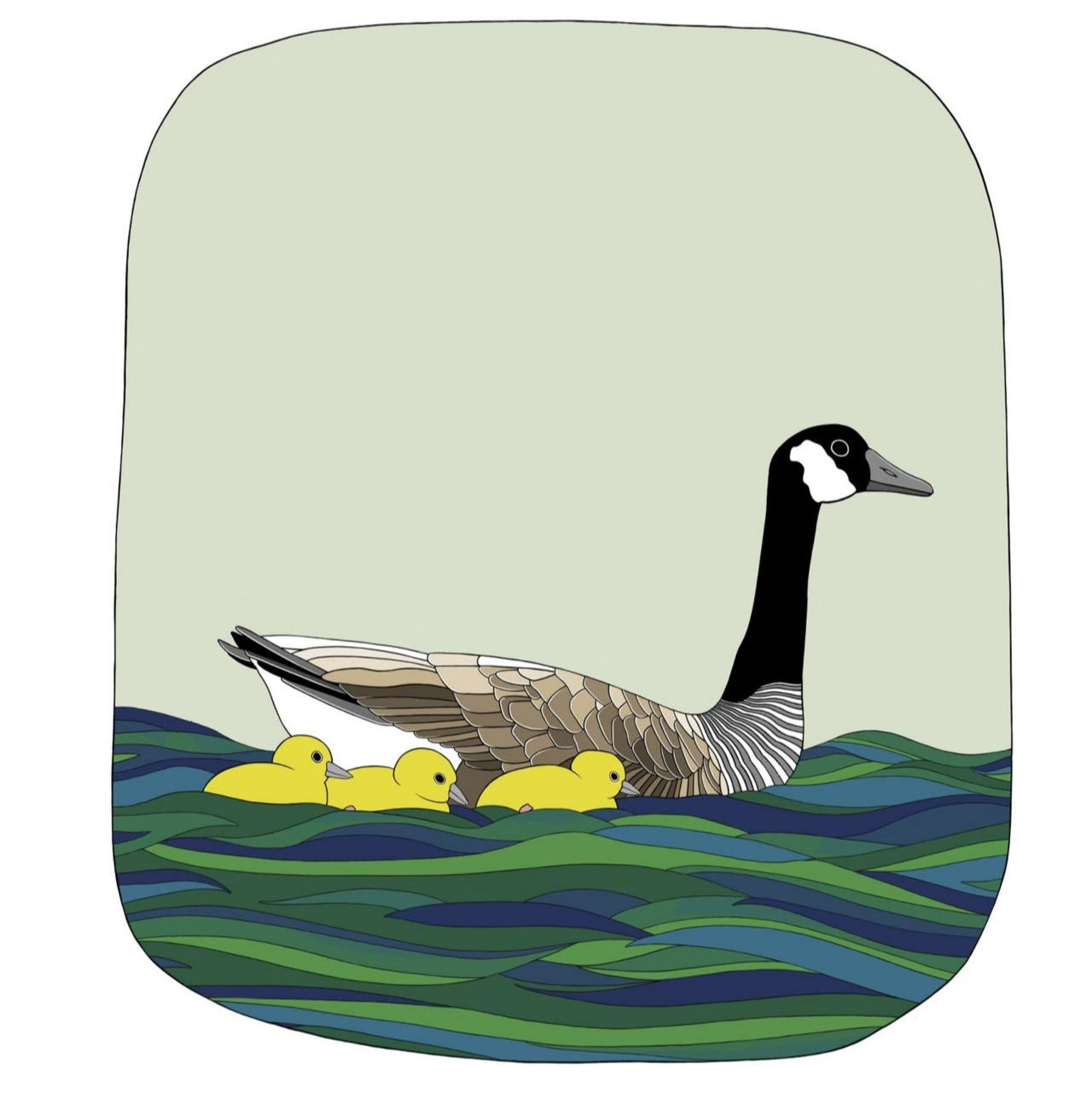 The Baby Animal Book by Jennifer Cossins (Paperback)