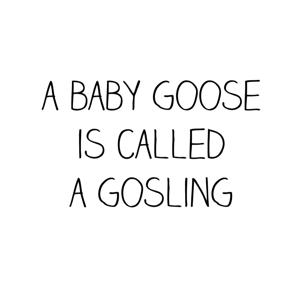 The Baby Animal Book by Jennifer Cossins (Paperback)