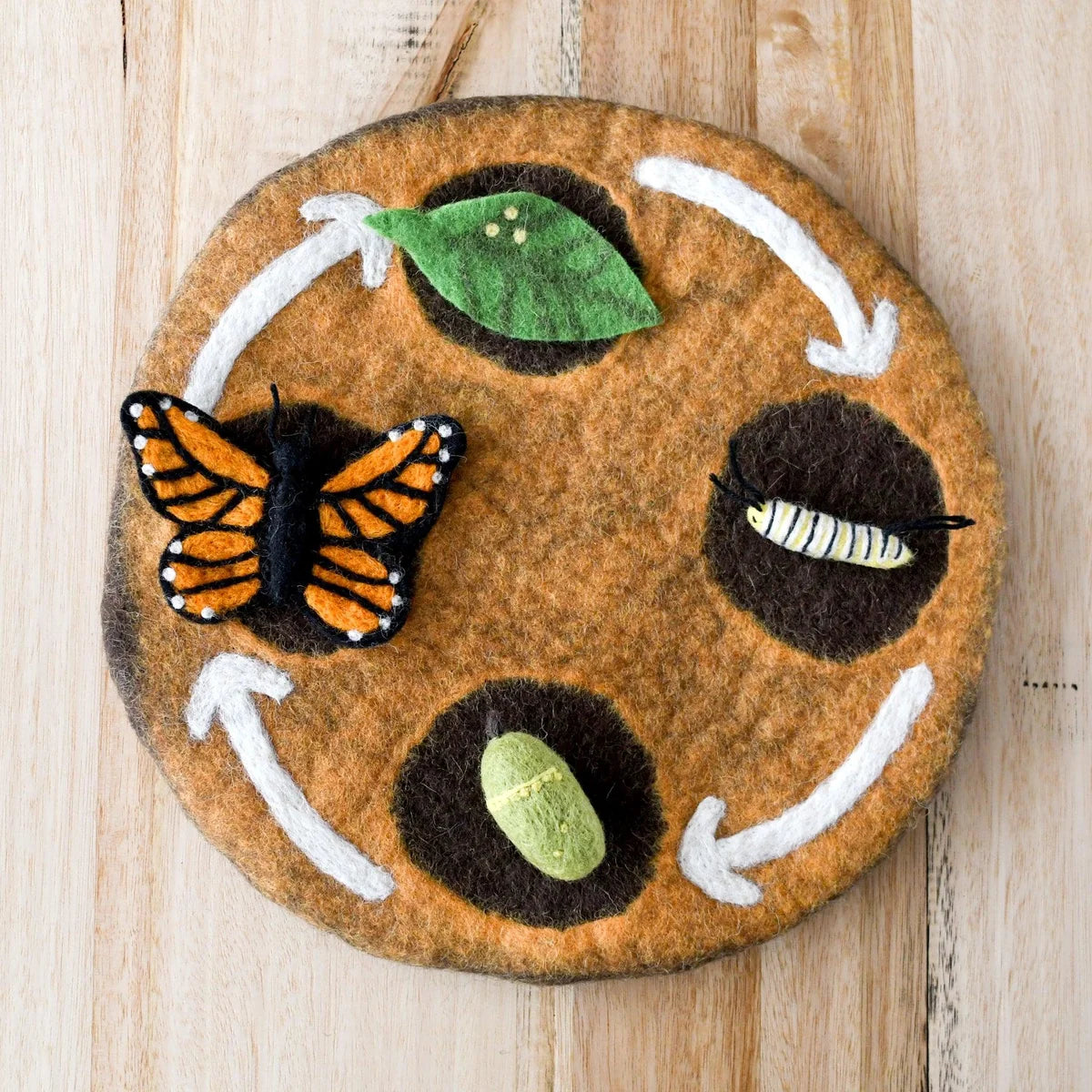 Felt Lifecycle of a Monarch Butterfly