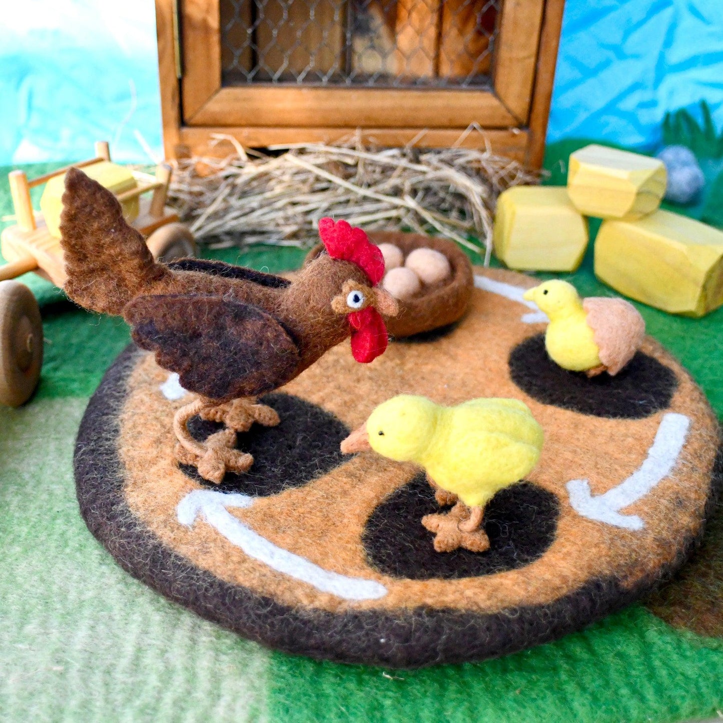 Felt Lifecycle of a Chook