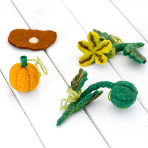 Felt LIfecyle of Pumpkin