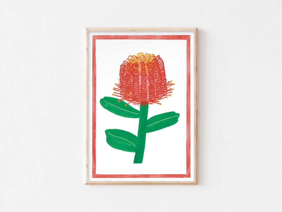 Australian Wildflower Print - Banksia Wall Art Floral Nature