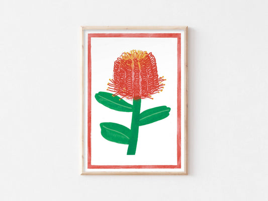 Australian Wildflower Print - Banksia Wall Art Floral Nature