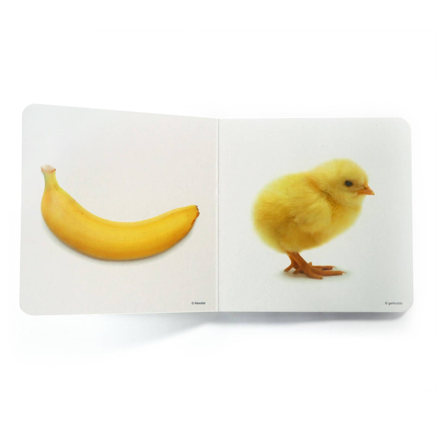 Yellow - Wordless Photo Book NWB041