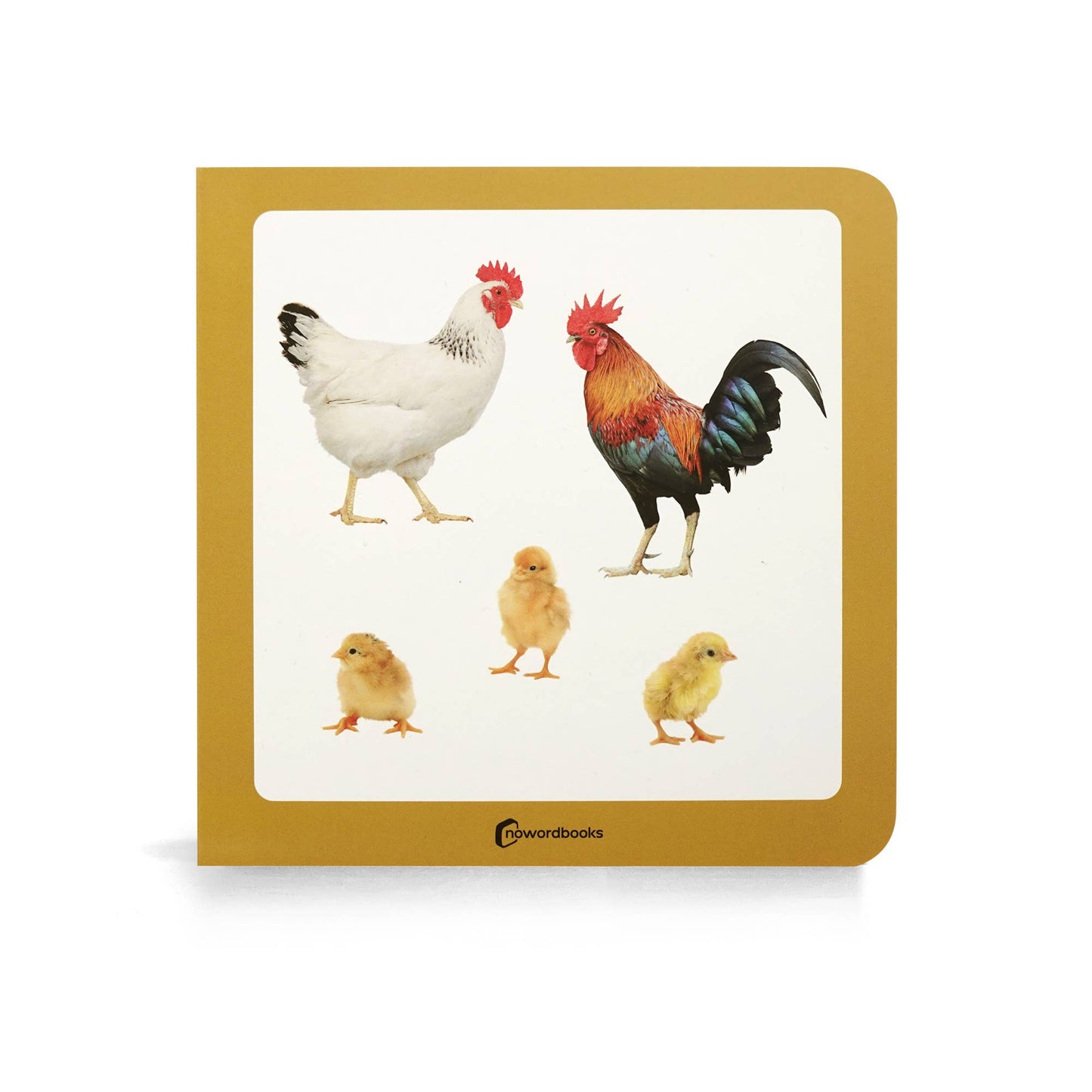 Three chicks - Wordless Photo Book NWB061