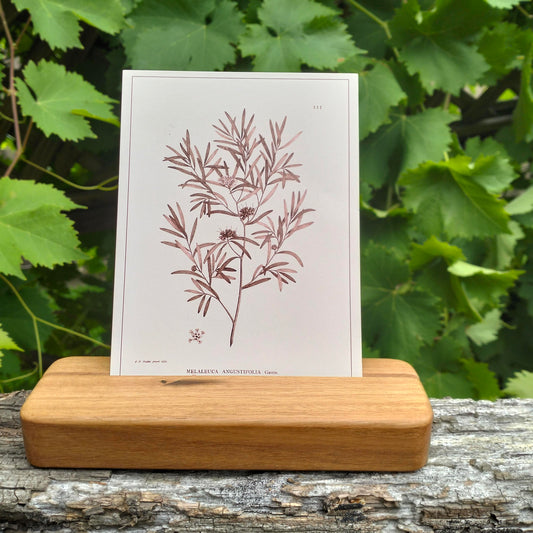 Timber Card/Photo Holder
