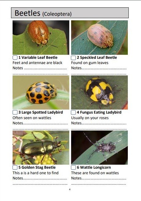 Entomological checklists - Victoria