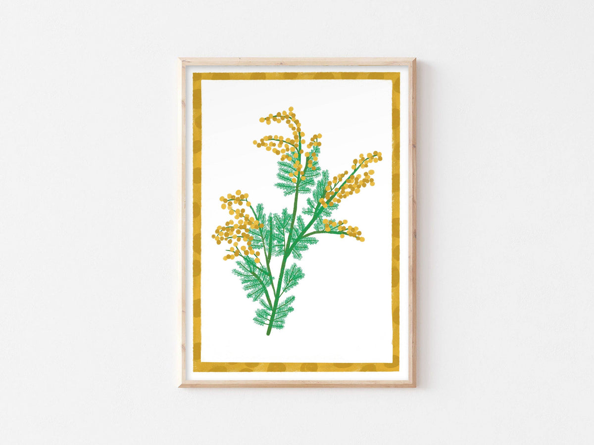 Australian Wildflower Print - Wattle Wall Art Floral Nature