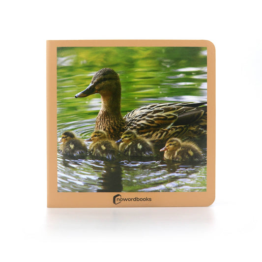 Animal Families I - Wordless Photo Book NWB027
