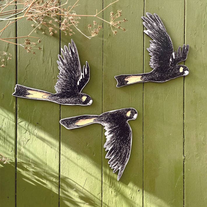 Australian Aviary ~ Wall Decorations ~ Yellow-tailed Black Cockatoos (set of 3)