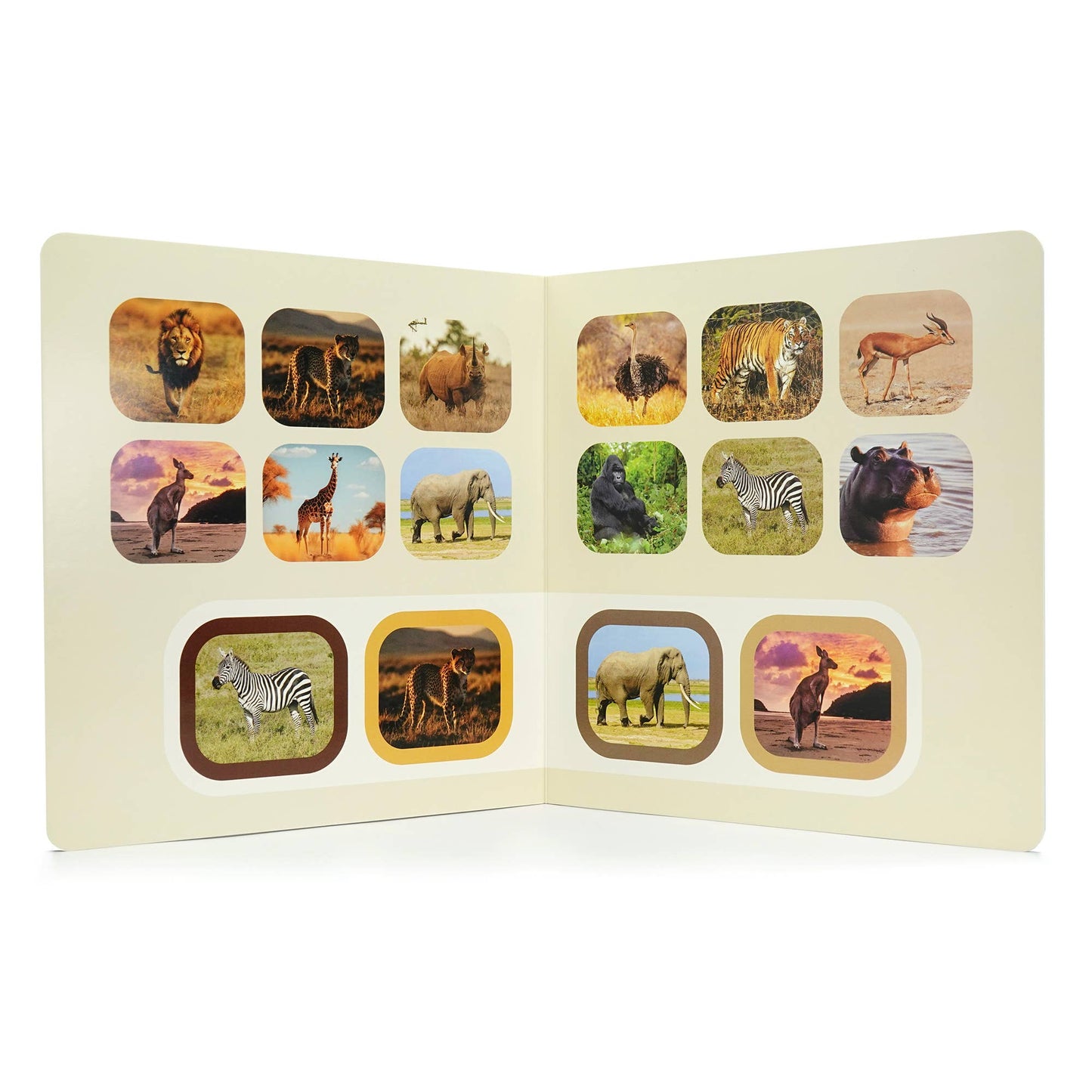Seek & Find: Wild Animals - Wordless photo book NWB124