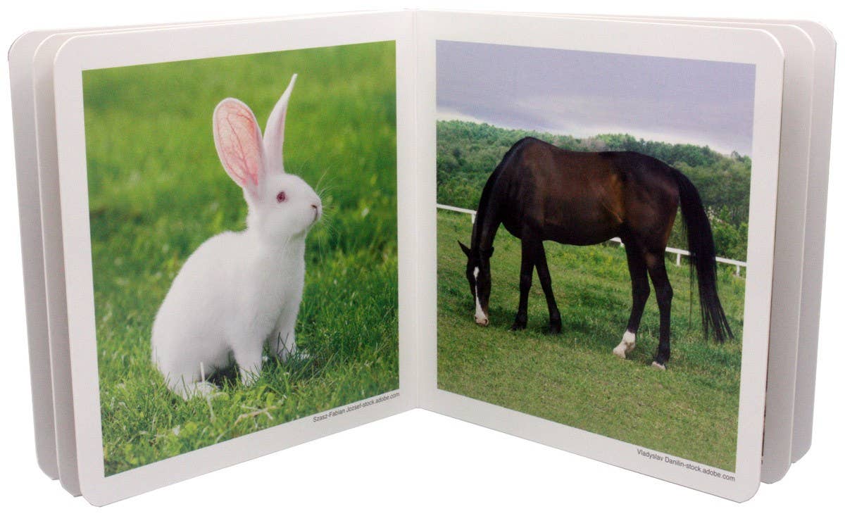 Farm Animals - Wordless Photo Book NWB001