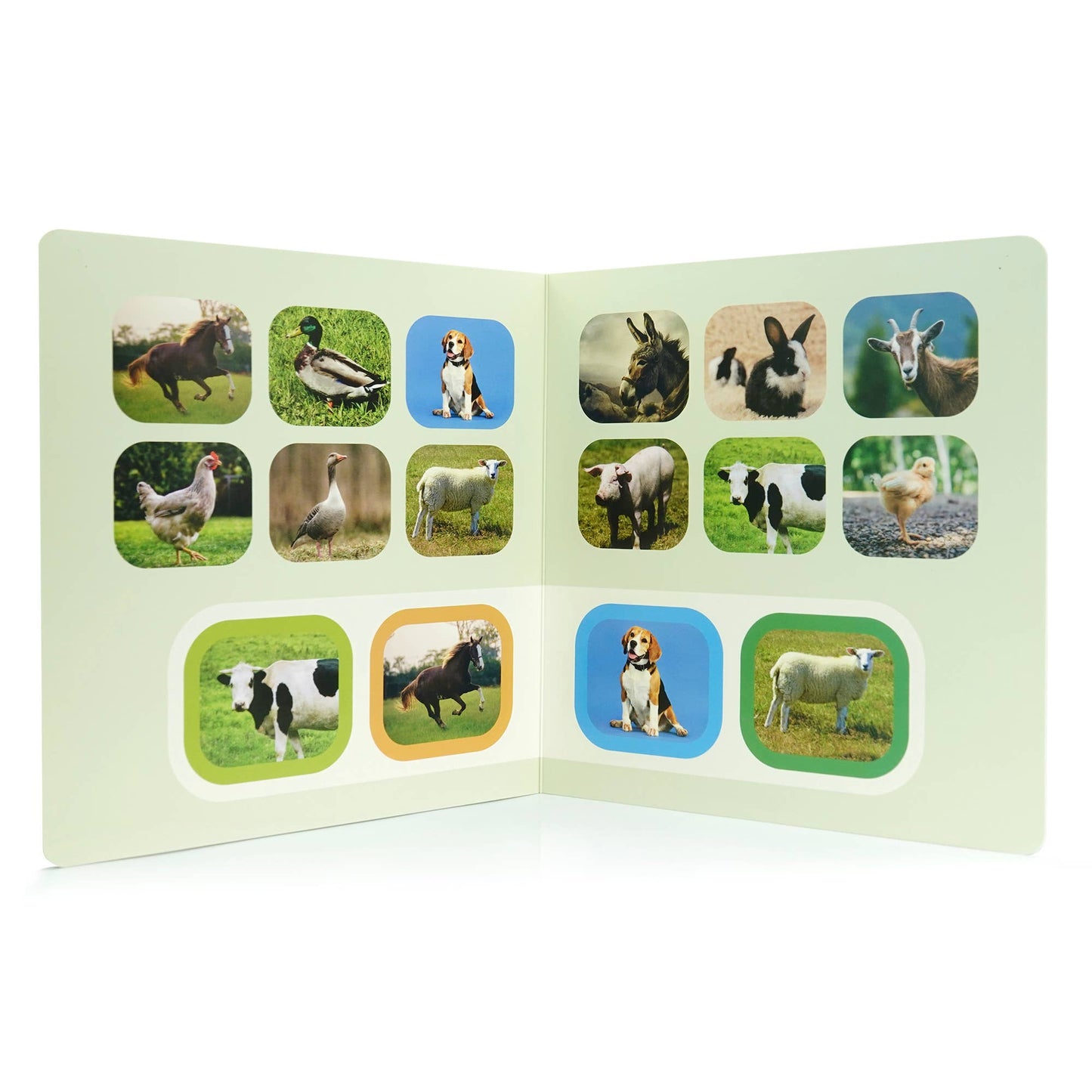 Seek & Find: Farm Animals - Wordless photo book NWB121