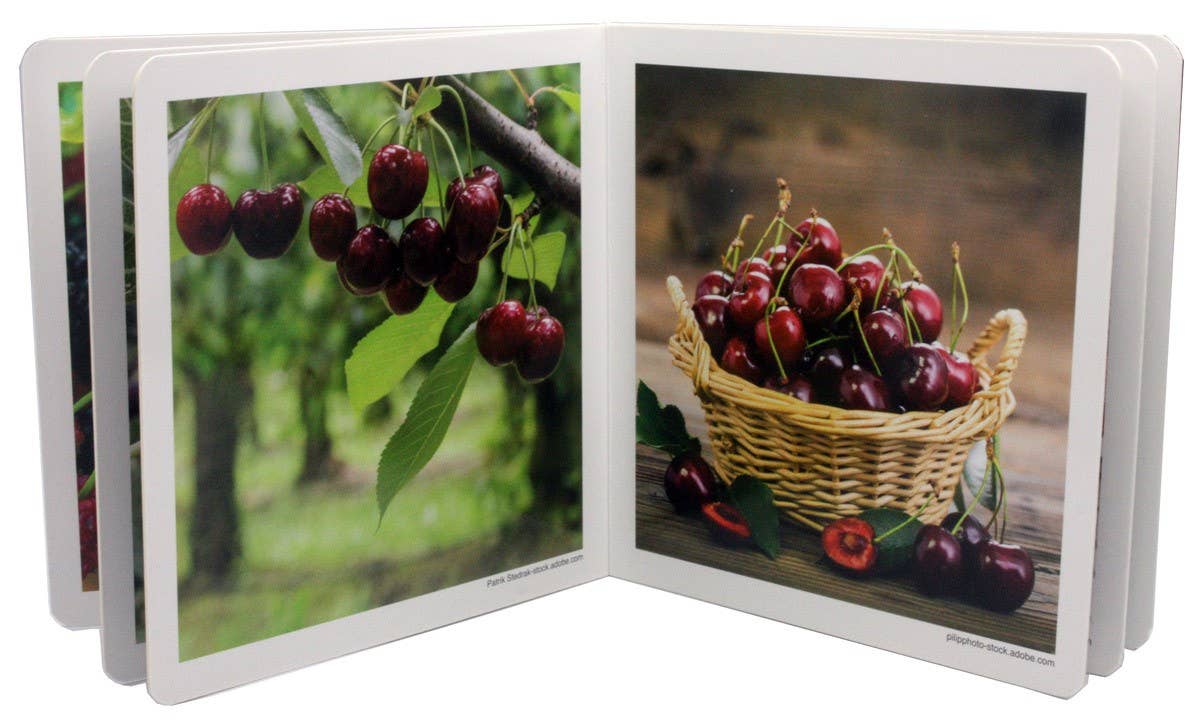 Forest Fruits - Wordless Photo Book NWB026