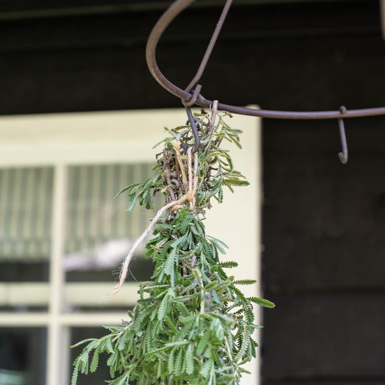 Herb dryer