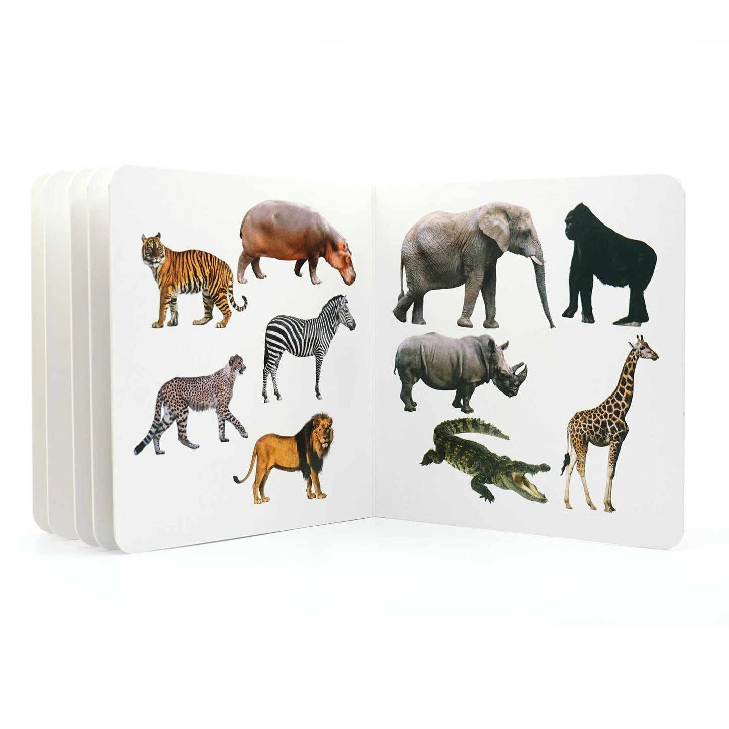 Wild Animals 3 - Wordless Photo Book NWB052