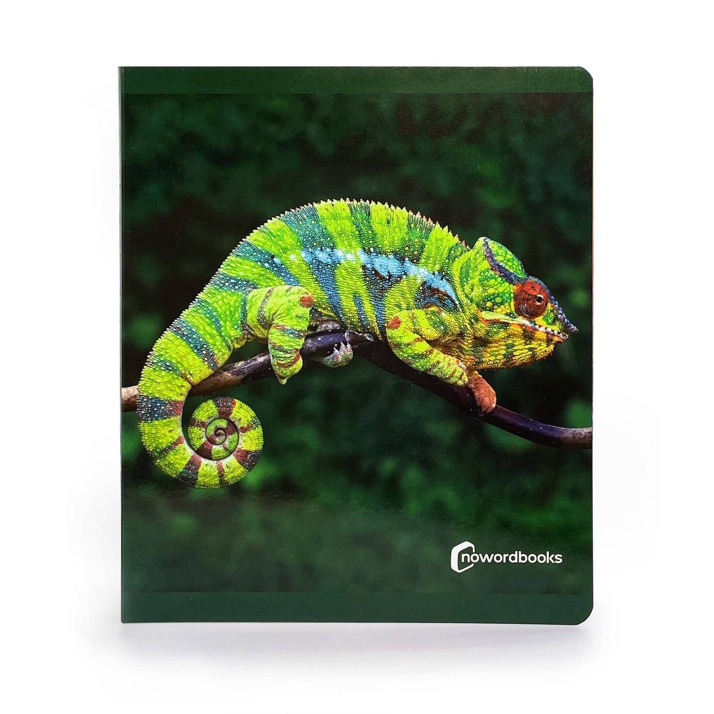 The Animals Of The Jungle - Wordless Photo Book NWB117