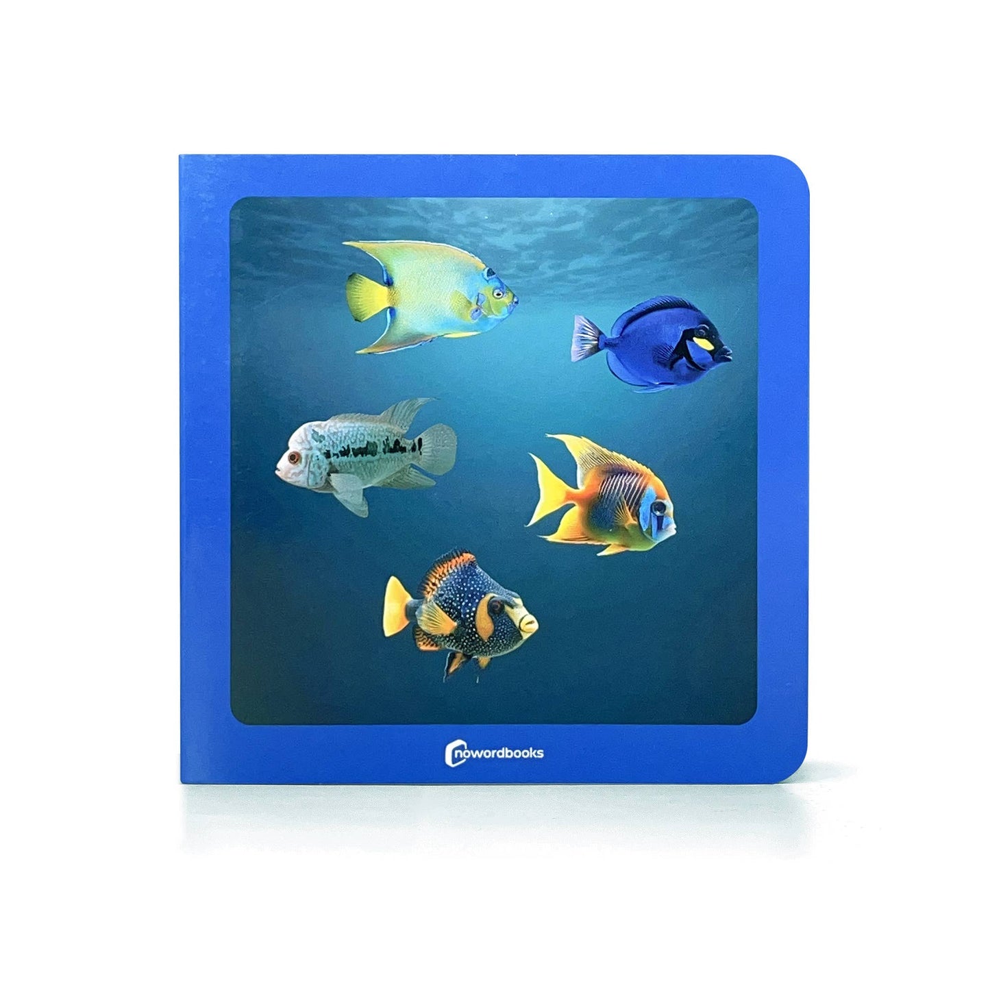 Where Are the Fish? - Wordless Photo Book NWB057