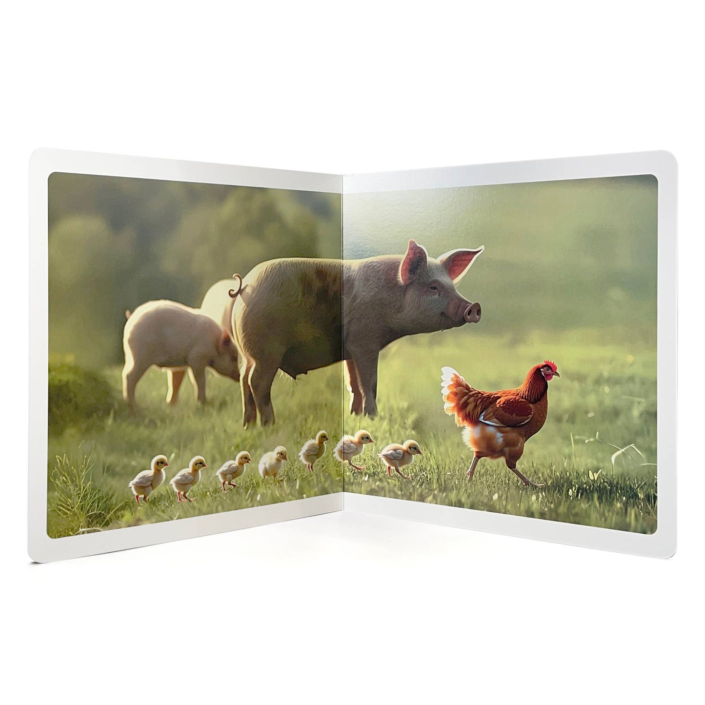 I Spy on the Farm - Wordless Photo Book NWB134