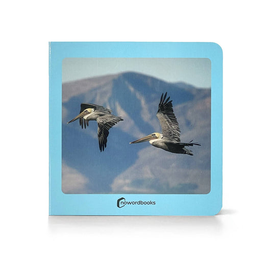 Birds - Wordless Photo Book NWB048