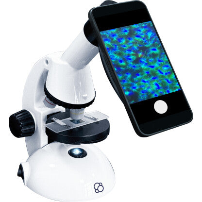 Microscope