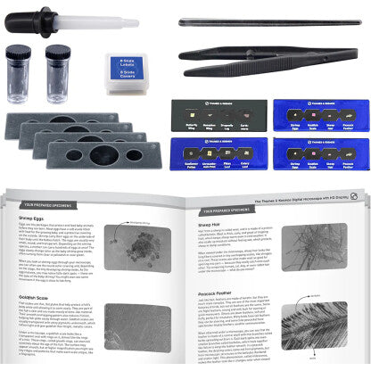 Digital Microscope