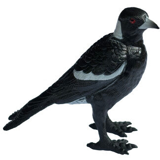 Australian Bird Replicas