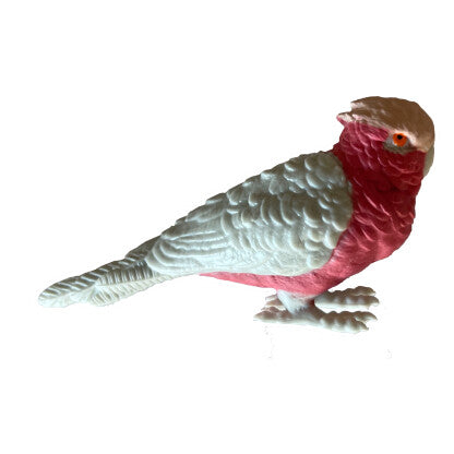 Australian Bird Replicas
