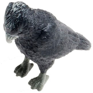 Australian Bird Replicas