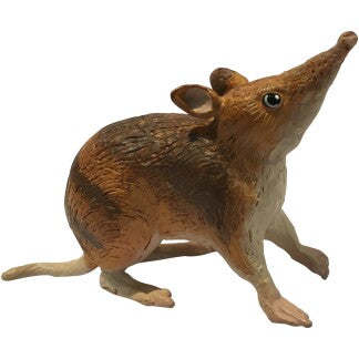 Australian Mammal Replicas - Large
