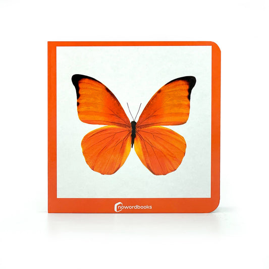 Orange - Wordless Photo Book NWB043