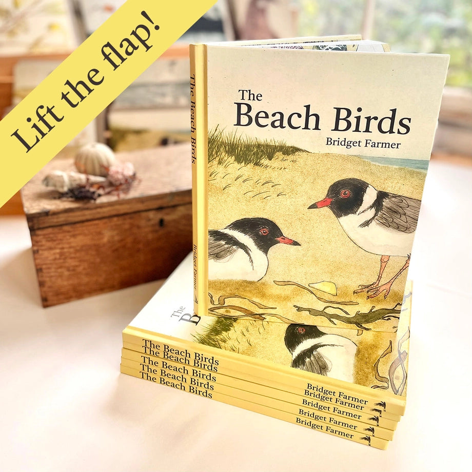 Bush, Beach and Kookaburra Kookaburra Books and Games - Set of 3 books and 3 games