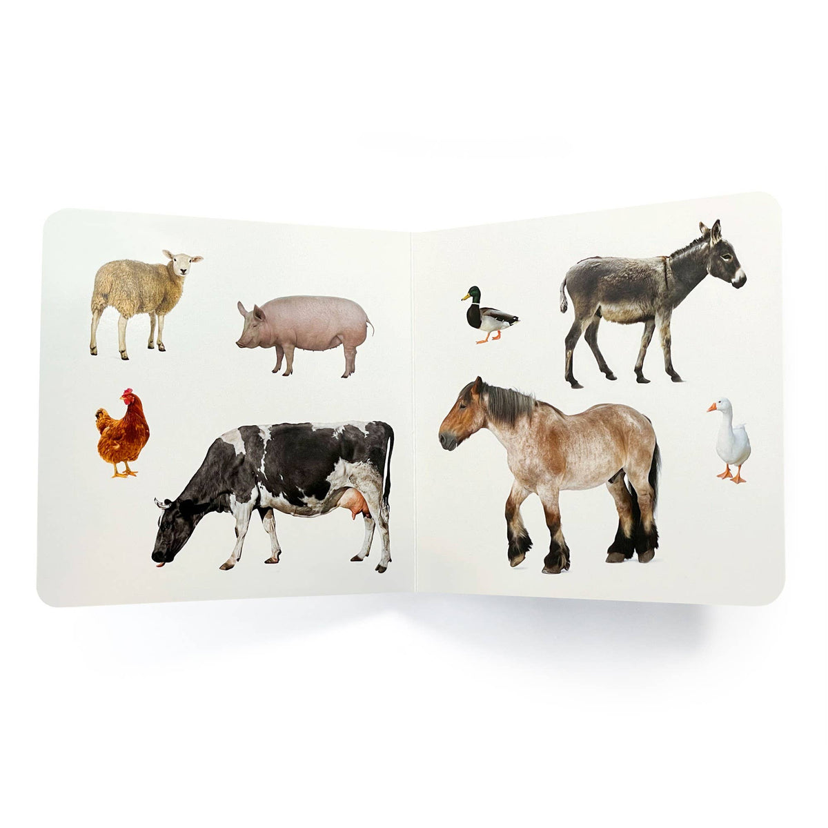 Farm Animals 2 - Wordless Photo Book NWB049