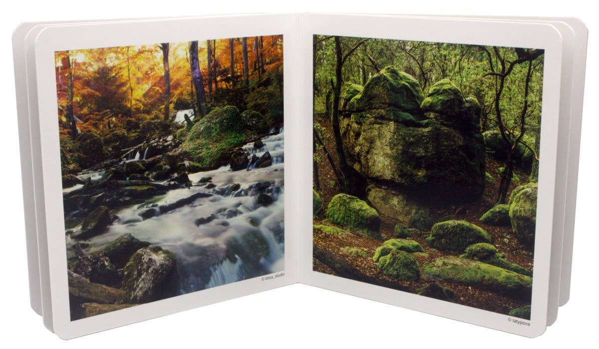 The Forest - Wordless Photo Book NWB034