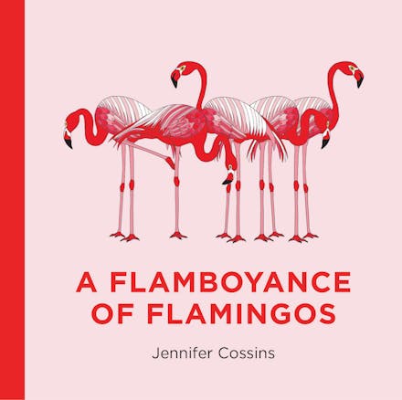 A Flamboyance of Flamingos by Jennifer Cossins