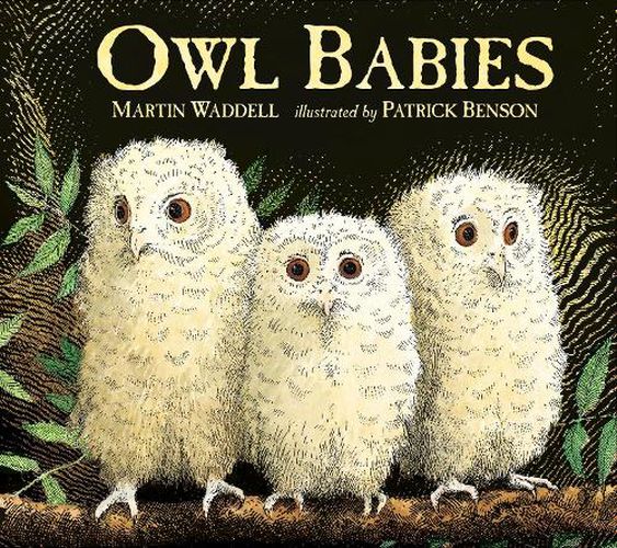 Board Book Collection