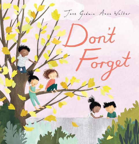Board Book Collection