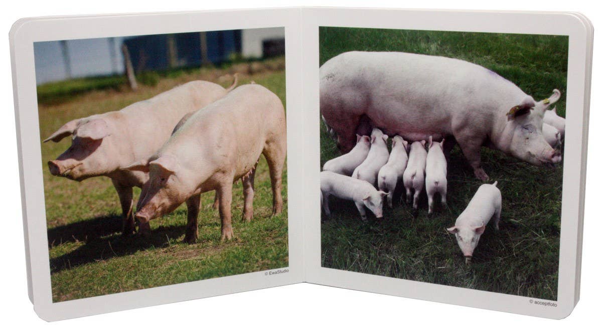 Animal Families I - Wordless Photo Book NWB027