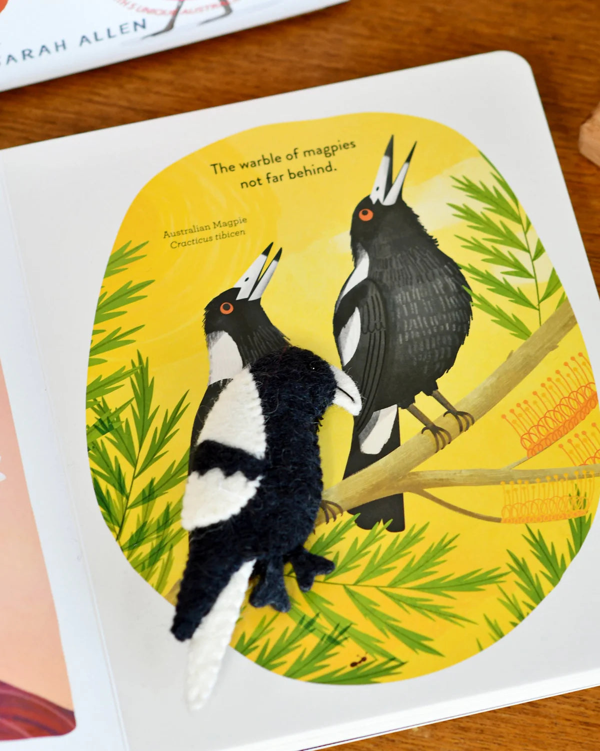 Busy Beaks Finger Puppets and Book Set by Sarah Allen