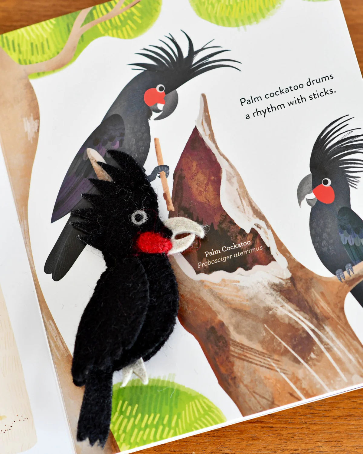 Busy Beaks Finger Puppets and Book Set by Sarah Allen