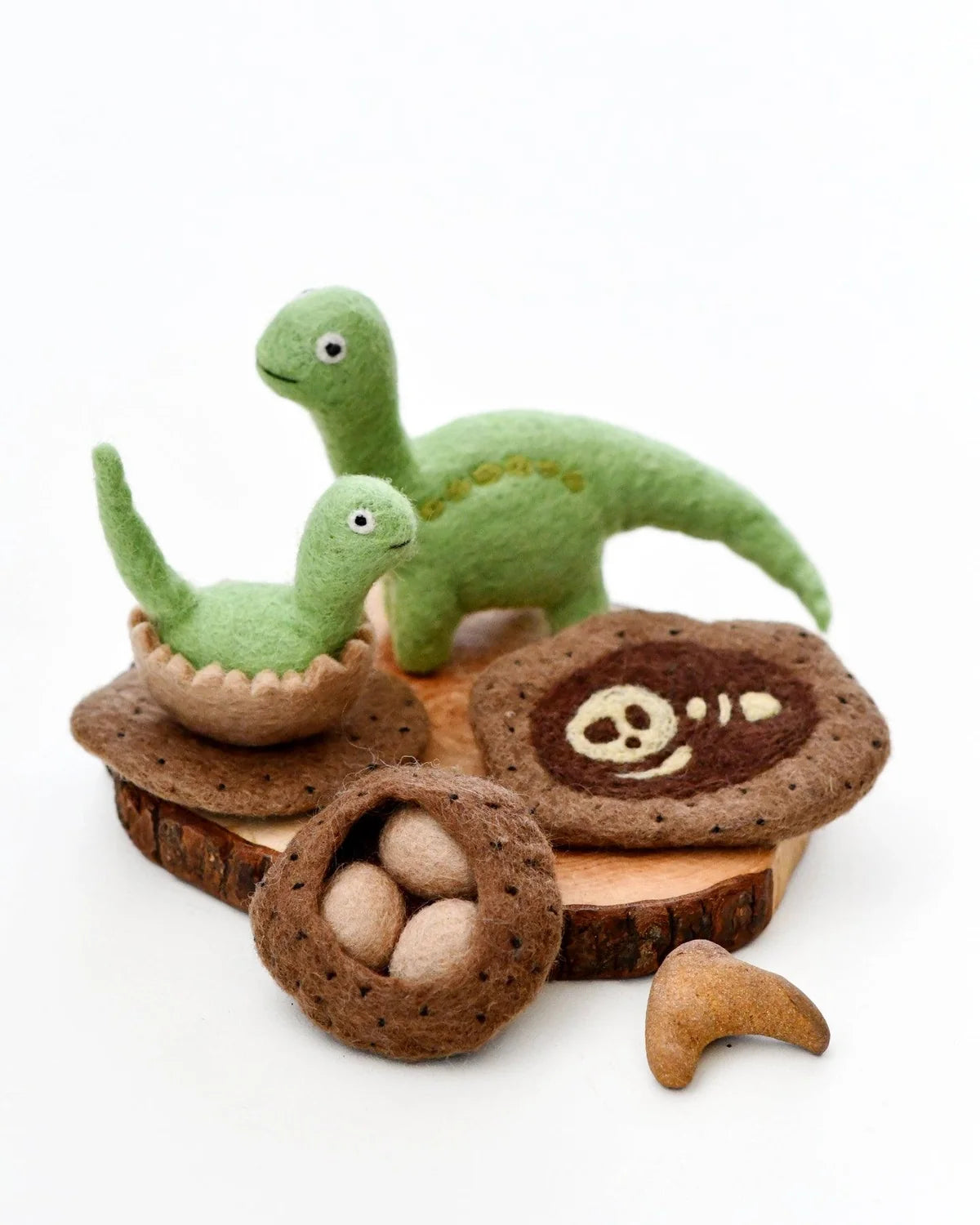 Felt Life Cycle of a Dinosaur